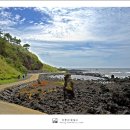 제주 비양도 호니토 이미지