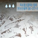 신안한약방 네이버블로그
