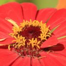 기암서원機巖書院 이미지