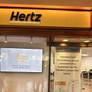 백차종농장 | 하와이 4일차 허츠 렌터카 픽업 및 비용, 돌 플랜테이션 태닝 키티와 아이스크림, 파타고니아 노스쇼어...