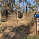 한아름 사슴 농장 이미지