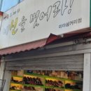 네신을벗어라