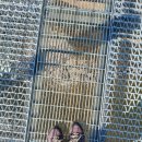 아우라지 출렁다리 이미지