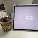 장판집 | 이사 후 첫 집 기록 🏡 (도배·장판부터 가구까지 현실 후기)