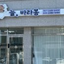 늘, 바라봄 이미지