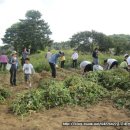 내방농장 이미지