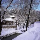 순천-45호 이미지