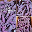 맛 1위 이찌 하루까 꿀 고구마 판매 이미지