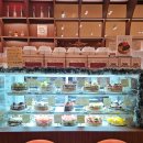 다대4-2 | [부산 동래] 디저트 케이크 맛집 안락동 카페 추천 :: 다대드라 안락점 내돈내산 후기