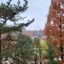 홈브리지캐빈호스텔 이미지