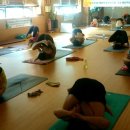 요가2.(오후반) 이미지