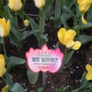 서곶공원 이미지
