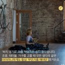 프렉클컴퍼니 네이버블로그