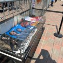 종합운동장(호암체육관) D 게이트 | 2025 잔나비 단독 콘서트 플로어석 시야 및 DAY1 후기 총정리