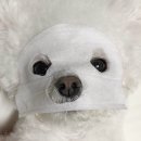 인스타패션 이미지