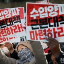전국양파 생산자대회 이미지