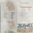 달그림터 | 정읍 국가유산 미디어아트관 〈1894 달하루〉 방문기