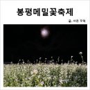 2024 봉평메밀꽃축제 찐 후기 (아이랑 매년 가는 곳)