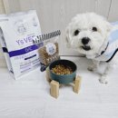 이씨양행 이미지