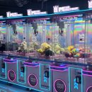 골라 게임랜드 이미지