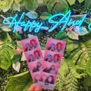 다빈치오락실 이미지