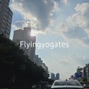 나비요가번지&플라잉
