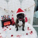 살롱드하츠 이미지