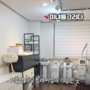 미녀를 그리다
