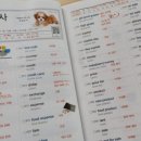 중급필수 영단어 암기 이미지