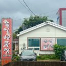 동해생아구 | 포항 현지인 맛집 흥해 &lt;육일해물찜&gt; 찐 로컬 맛집 오랜만에 먹어도 맛있는 곳!