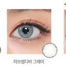 헤이즐톤 이미지