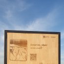 차강농장 이미지