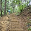 2026 산행일지 052회차 삼호섬=＞철새공원=＞은월봉=＞태화강 국가정원=＞십리대숲=＞징검다리 (2219) ￼엉겅퀴 이미지