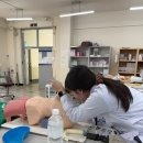 바로엘내과의원 | 관람 &amp; 실습 일지] 태양의서커스 쿠자 103구역 C열 관람 후기 &amp; 할인티켓 구매 꿀팁 (+호흡기내과 실습)