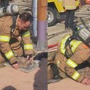 지곡119안전센터 이미지