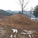 창성농장 이미지