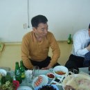 옥성초교 Daum카페