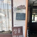 상송 | 구미_상송식당_애견동반 후기
