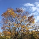 평화공원 쪽 이미지