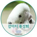 어울림동물메디컬센터 이미지