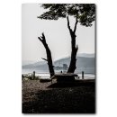 나무와 새 이미지