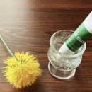 썬 크림(Sun Cream) 이미지