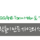 관민목장 | [나주여행]작은 한양- 나주, 석당간,동점문,남고문,목사내아,금성관