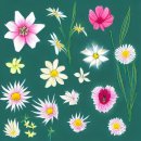 대전대학교 이미지