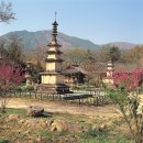 남원 실상사 동·서 삼층석탑 이미지