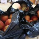 강촌폭포펜션 이미지