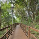 중일초교 횡단보도(중일초) 이미지