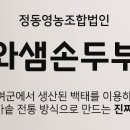 고향 전통 손두부