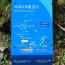 제주 사려니숲길 사전예약 구간 한남시험림 9월 10월 제주도 가볼만한곳