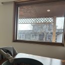 다경하녹 이미지